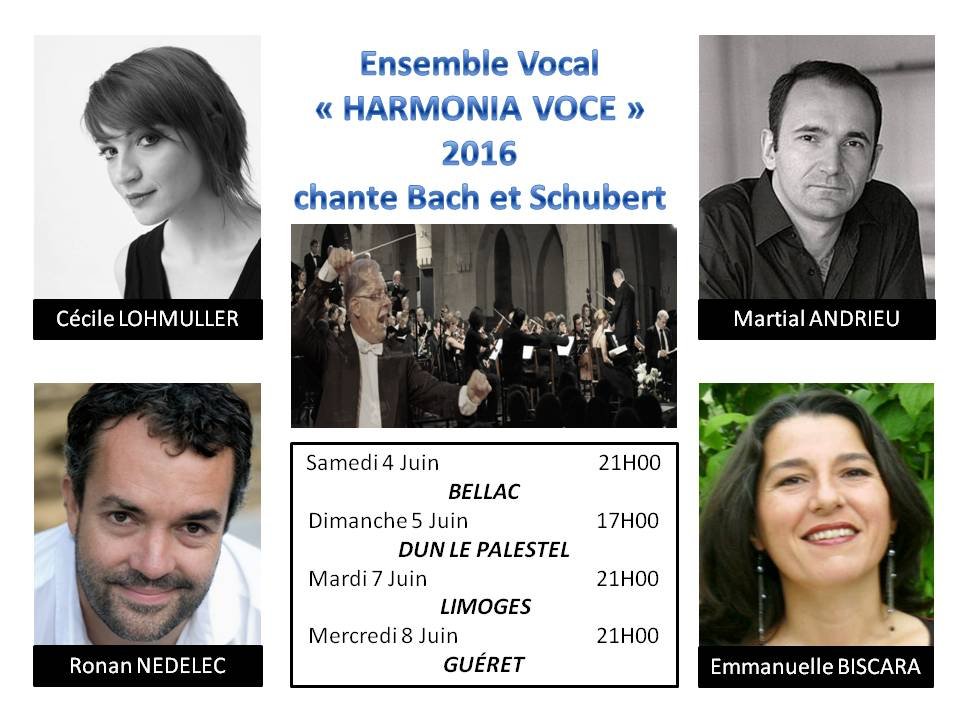 Ensemble Vocal HARMONIA VOCE